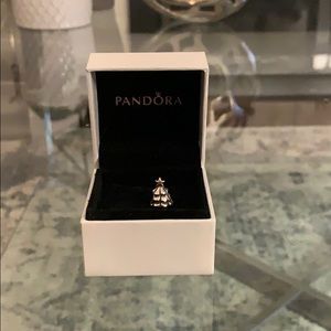 PANDORA charm✨✨